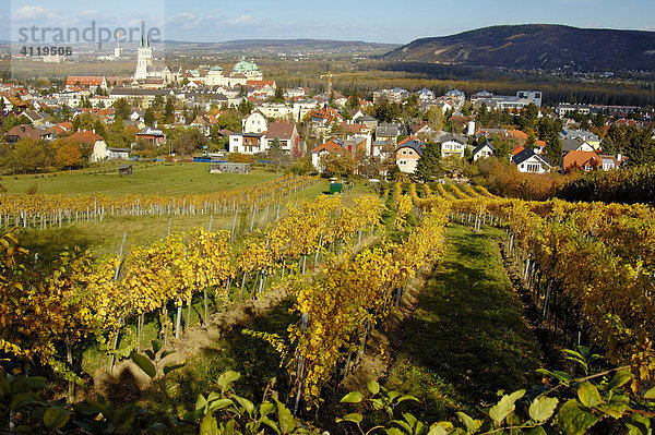 Blick von den Weingärten am Buchberg auf das Stift Klosterneuburg  Niederösterreich  Österreich
