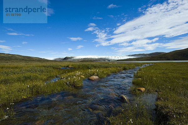 Inlandseis mit Gletscherbach  Wollgras (Eriophorum) und Magerwiese bei Kangerlussuaq  Grönland