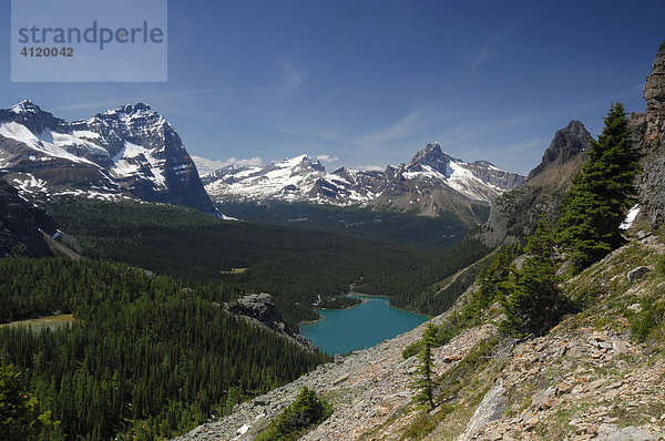 Blick auf O'Hara See und die umliegenden Berge vom alpinen Rundweg  Yoho Nationalpark  British Columbia  Kanada
