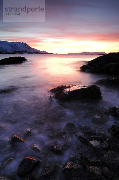 Felsstrand  Sonnenuntergang  Lofoten  Norwegen  Europa