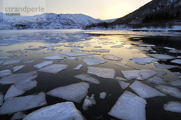 Eisschollen am See in Winterlandschaft