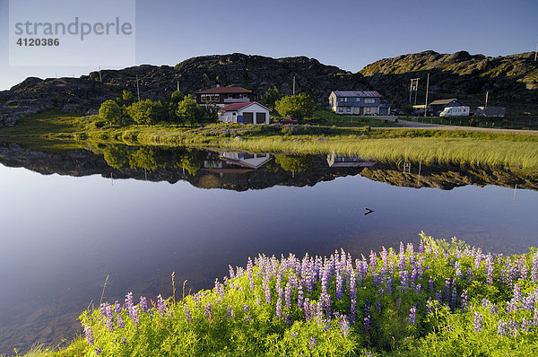 Idyllische Siedlung  Kvalsund  Finnmark  Norwegen
