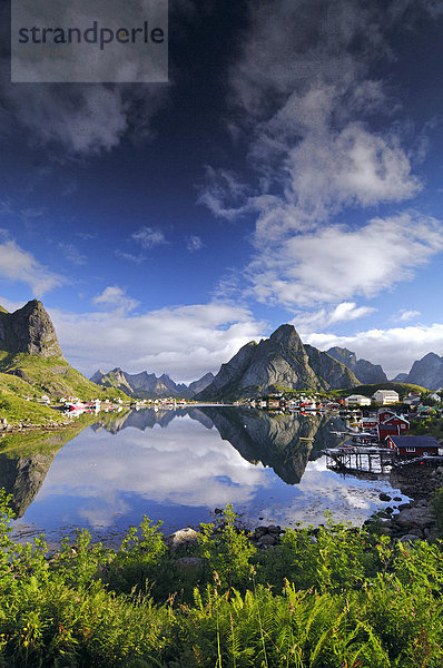 Dorf spiegelt sich im Meer  Reine  Lofoten  Norwegen