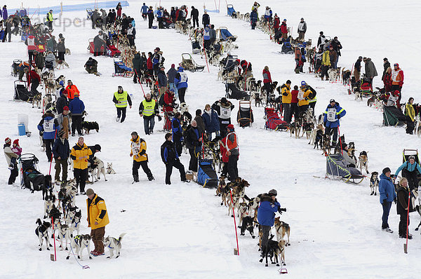 Teilnehmer des Finnmarkslopet - Hundeschlitten Rennen  Alta  Finnmark  Norwegen