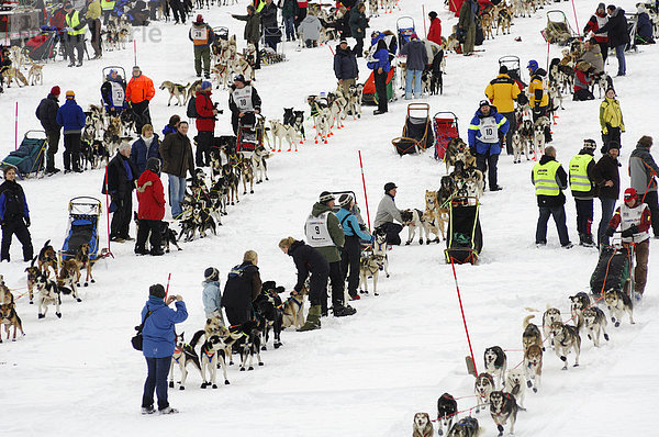 Teilnehmer des Finnmarkslopet - Hundeschlitten Rennen  Alta  Finnmark  Norwegen