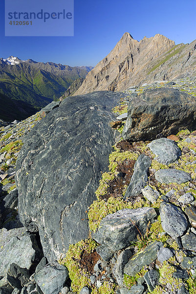 Felsformation im Nationalpark Hohe Tauern  Tirol  Österreich