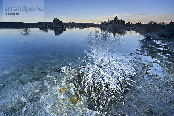 Mono Lake  Kalifornien  Vereinigte Staaten von Amerika