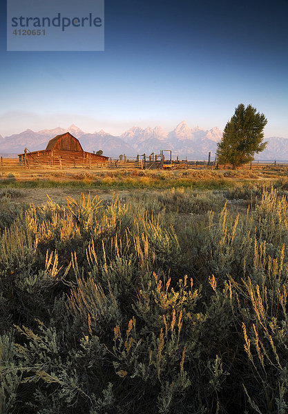 Moulton Farm  Grand Teton Nationalpark  Wyoming  USA  Vereinigte Staaten von Amerika