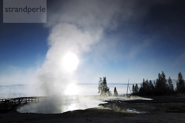 Morgenstimmung am Ufer des Yellowstone Lake  Yellowstone Nationalpark  Wyoming  USA  Vereinigte Staaten von Amerika