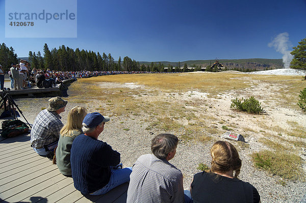 Touristen warten auf den Ausbruch des Geysier Old Faithful  Yellowstone Nationalpark  Wyoming  USA  Vereinigte Staaten von Amerika