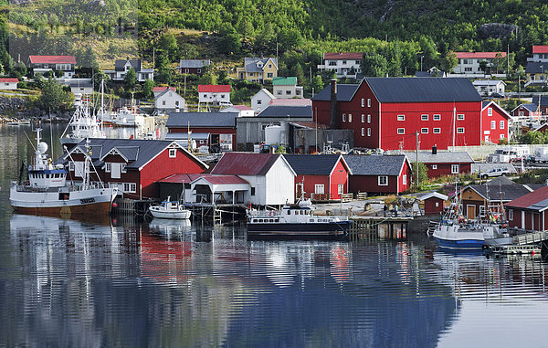 Fischerdorf Reine  Moskenes  Lofoten  Norwegen  Skandinavien