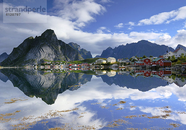 Fischerdorf Reine  Moskenes  Lofoten  Norwegen  Skandinavien