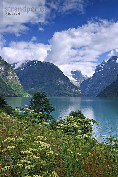 Fjord in Oppland  Norwegen  Skandinavien