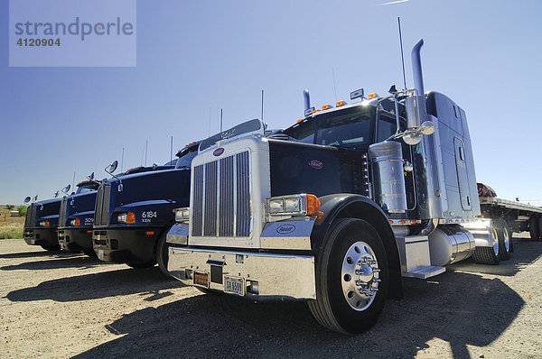 Vier hochglanzpolierte Trucks  Kalifornien  USA