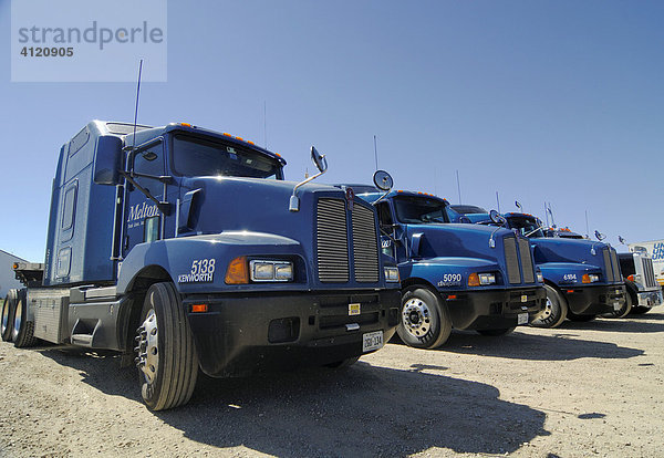 Vier hochglanzpolierte Trucks  Kalifornien  USA