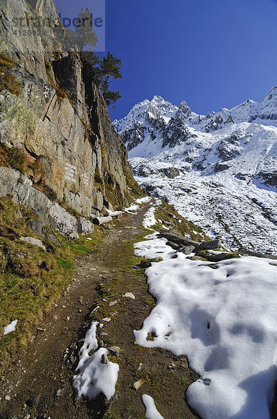 Verschneiter Wanderweg mit Blick zur Texelspitze zum Eisjöchl  Meraner Höhenweg  Schnalstal  Pfossental Texelgruppe  Südtirol  Italien