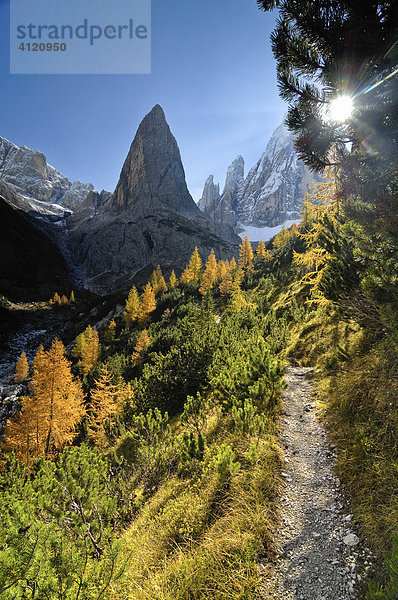 Wanderweg im Fischleintal mit Zwölferkogel  Sextener Dolomiten  Südtirol  Italien