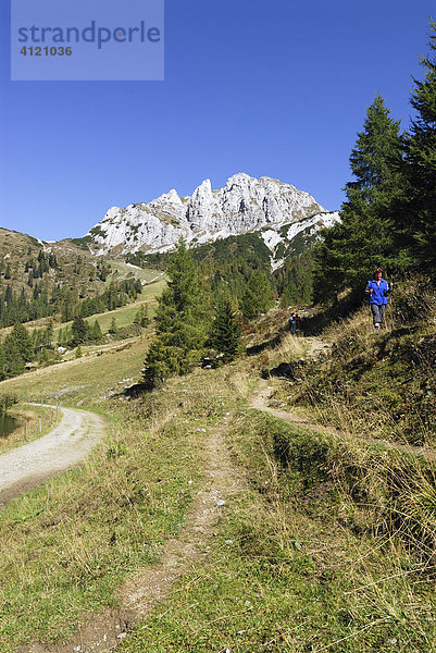 Weg zum Gartnerkofel  Nassfeld  Kärnten  Österreich