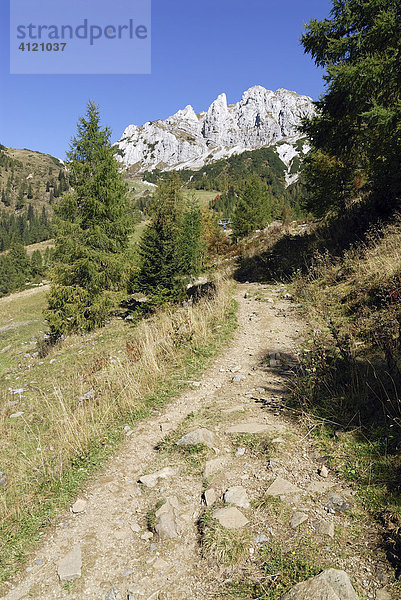 Weg zum Gartnerkofel  Nassfeld  Kärnten  Österreich