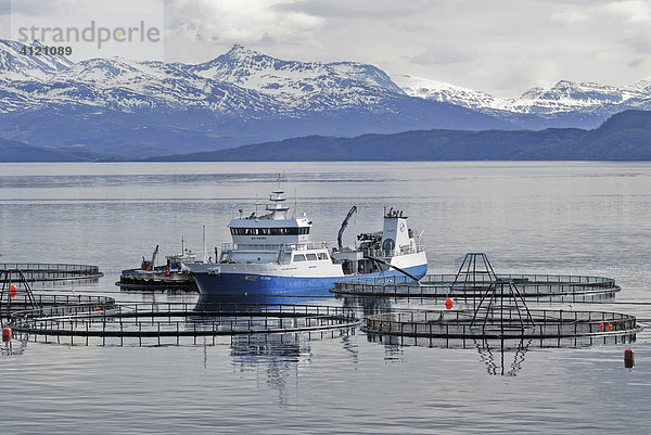 Fischerboot an einer Lachsfarm  Lofoten  Norwegen