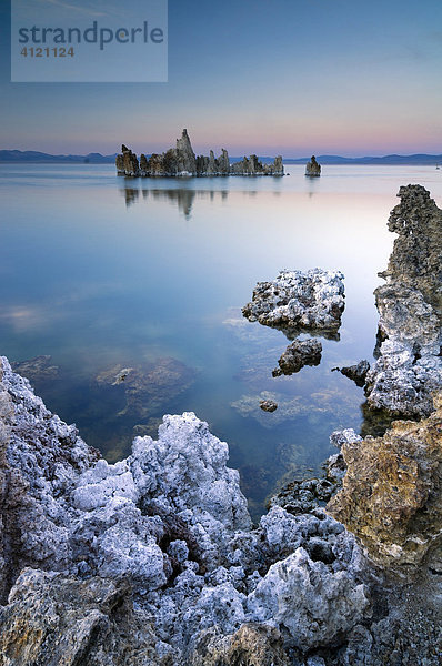 Bizarre Felsstrukturen aus Tuffstein  alkalischer Salzsee  Mono See  Lee Vining  Kalifornien  USA Nordamerika