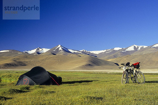 2 Mountainbikes und ein Zelt  grasbewachse Hochebene  hinten schneebedeckte Berge auf über 4900 m Seehöhe  indischer Himalaya  Ladakh  Indien