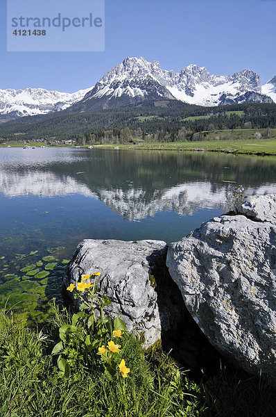 Künstlicher See am Golfplatz vor dem Kaisergebirge bei Elmau  Leukental  Tirol  Österreich  Europa