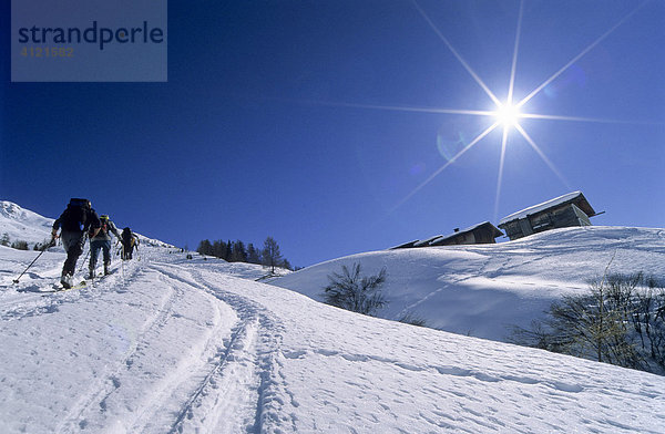 Drei Skibergsteiger bei einer Skitour  Skitouren-Spur neben einer Almhütte  Tuxer Alpen  Tirol  Österreich  Europa