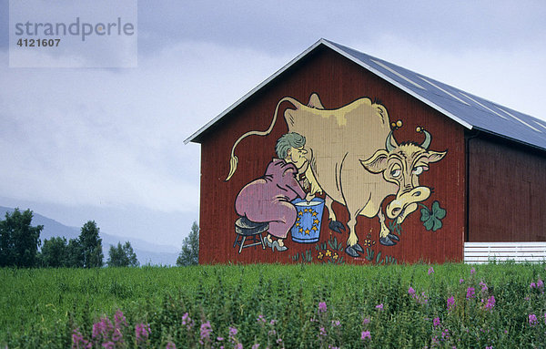 Europaskepsis  humorvolle Anti-EU Karikatur  Frau melkt Kuh  auf einer Scheune  Norwegen  Skandinavien  Europa