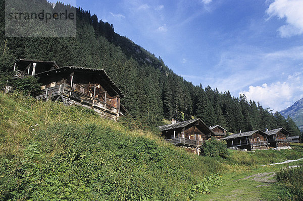 Alte Bauernhöfe aus Holz  Innergeschlöss  Nationalpark Hohe Tauern  Österreich  Europa