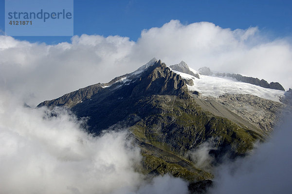 Bergspitze im Wolkenmeer  Aletschgebiet  Wallis  Schweiz  Europa