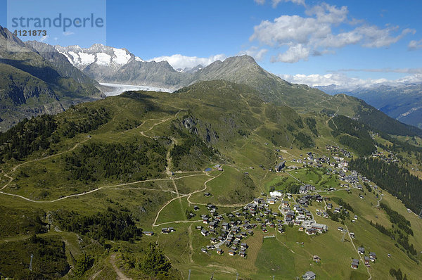 Blick vom Riederhorn auf Aletschgletscher  Aletschwald  Riederalp und Bettmeralp  Wallis  Schweiz  Europa