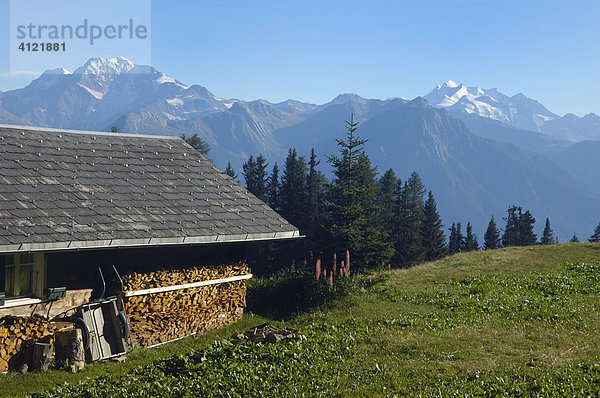 Hütte auf der Bettmeralp  Wallis  Schweiz  Europa