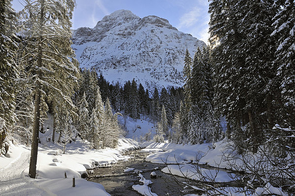 Bärguntbach  Kleinwalsertal  Österreich  Europa