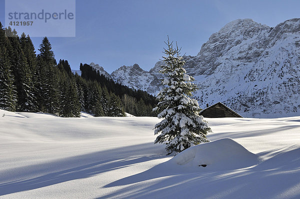 Winter im Kleinwalsertal  Österreich  Europa