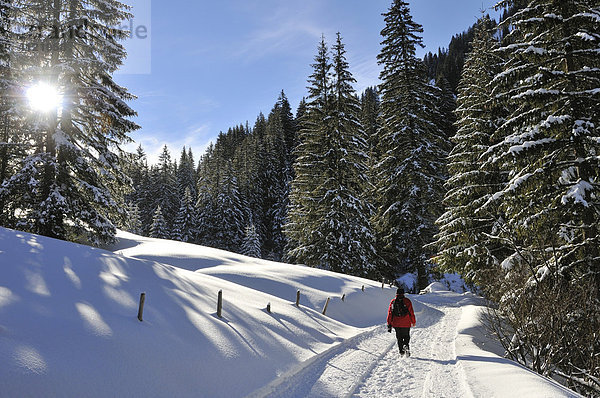 Winter im Kleinwalsertal  Österreich  Europa