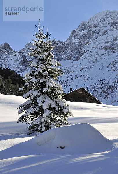 Winter im Kleinwalsertal  Vorarlberg  Österreich  Europa