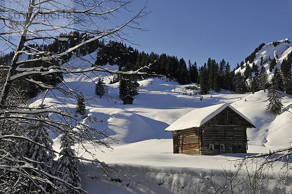 Winter im Kleinwalsertal  Vorarlberg  Österreich