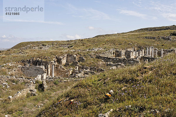 Ruinen der Wohnhäuser im Inopos-Tal  Delos  Griechenland