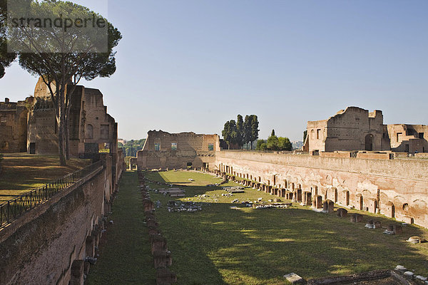 Sogenanntes Stadion des Domitian auf dem Palatin  Rom  Italien