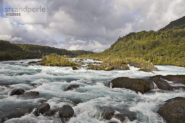 Stromschnellen des Petrohue Flusses  Nationalpark Perez Rosales  Region de los Lagos  Chile  Südamerika