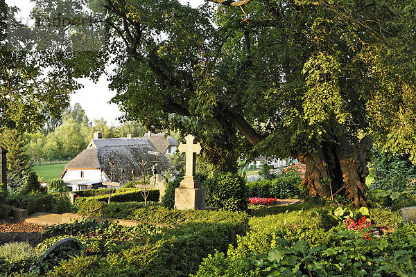 Friedhof und strohgedecktes Haus in Gustow  Rügen  Deutschland