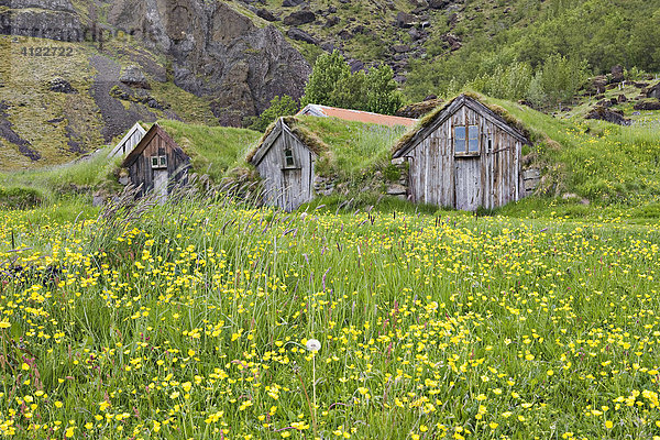 Gebäude des Hofs Núpsstaður  Südküste  Island