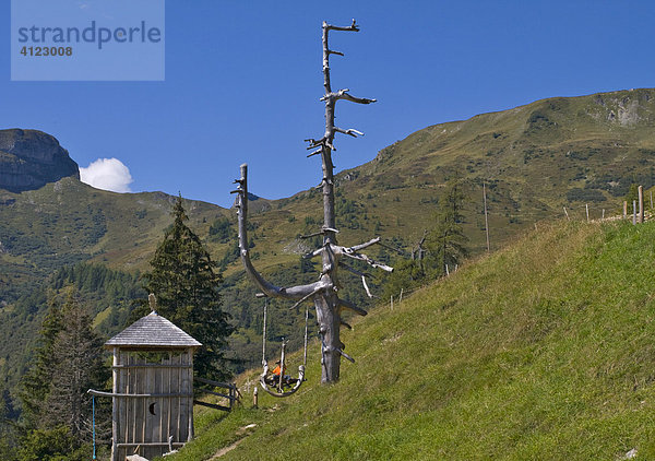 Spielplatz  Viehhausalm  Großarltal  Salzburg  Österreich