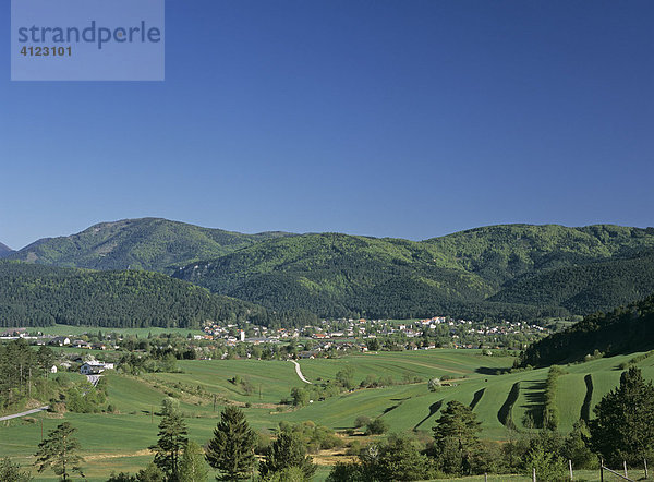 Blick von der Ochsenheide auf den Ort Pernitz  Piestingtal  Niederösterreich  Österreich
