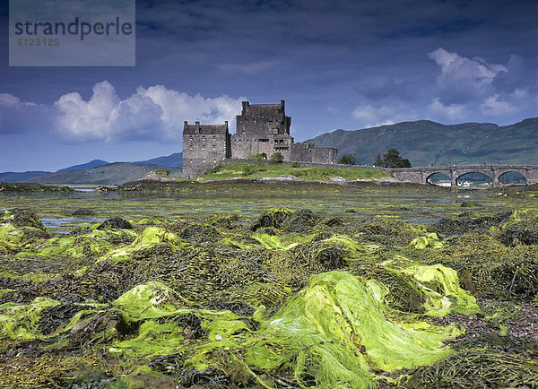 Eilean Donan Castle bei Ebbe  Loch Duich  Schottland  Großbritannien