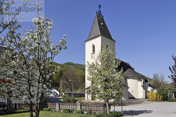 Kirche  Furth  Triestingtal  Niederösterreich  Österreich  Europa