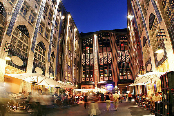 Die Hackeschen Höfe bei Nacht in Berlin Mitte. Berlin Deutschland