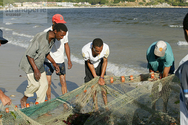 Fischer am Strand mit Fischernetz  Hout Bay  Kapstadt  Südafrika
