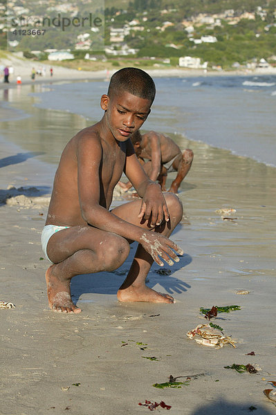 Kinder suchen Muscheln am Strand  Hout Bay  Kapstadt  Südafrika